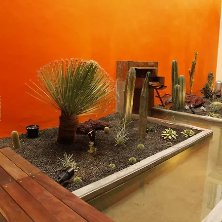 Coyoacán - Inn 