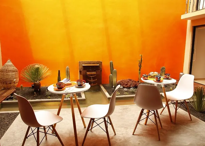 Guest house Coyoacan - Mexico City
