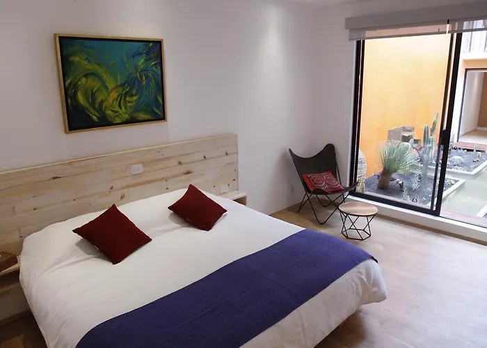 Guest house Coyoacan - Mexico City