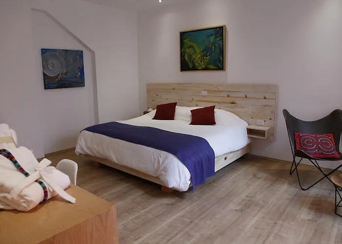 Guest house Coyoacan -