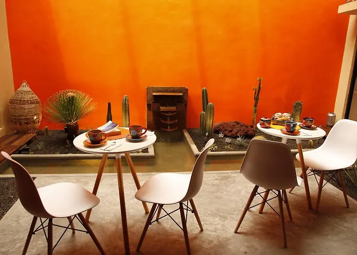 Guest house Coyoacan -