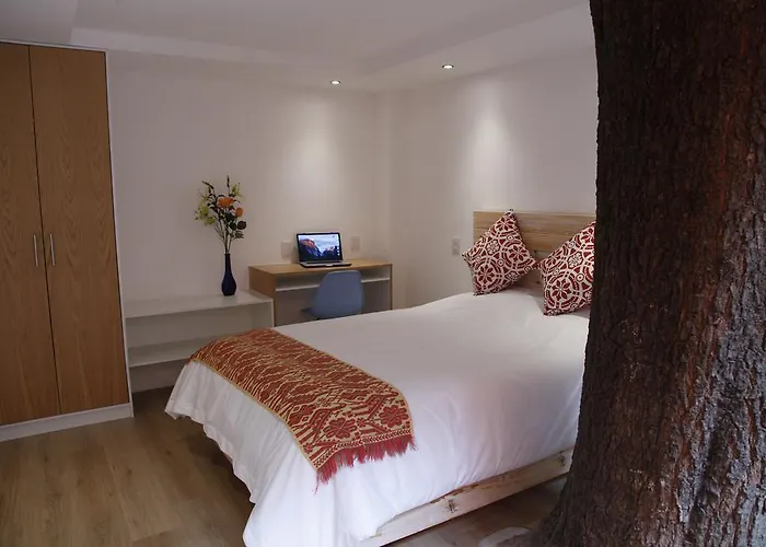 Coyoacan - Guest house