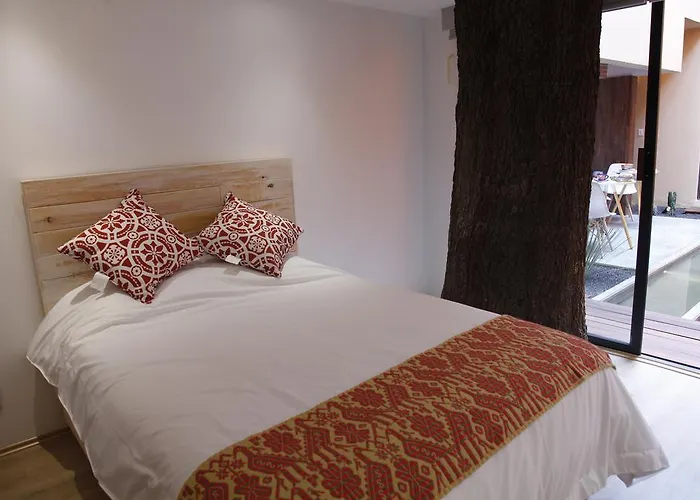 Guest house Coyoacan -