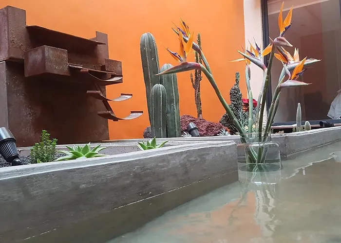 Coyoacan - Guest house Mexico City